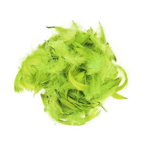 Piórka dekoracyjne Czakos w torebce 10g, Pistacjowe